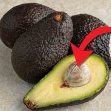 Avokado