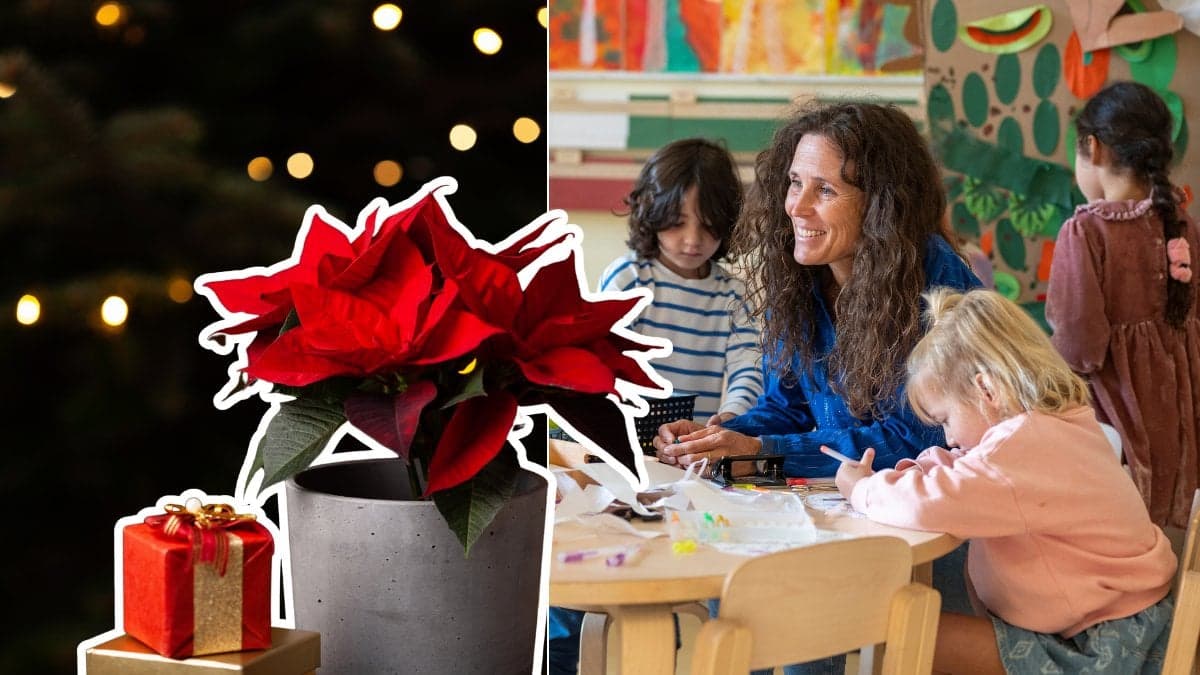 julavslutning-present