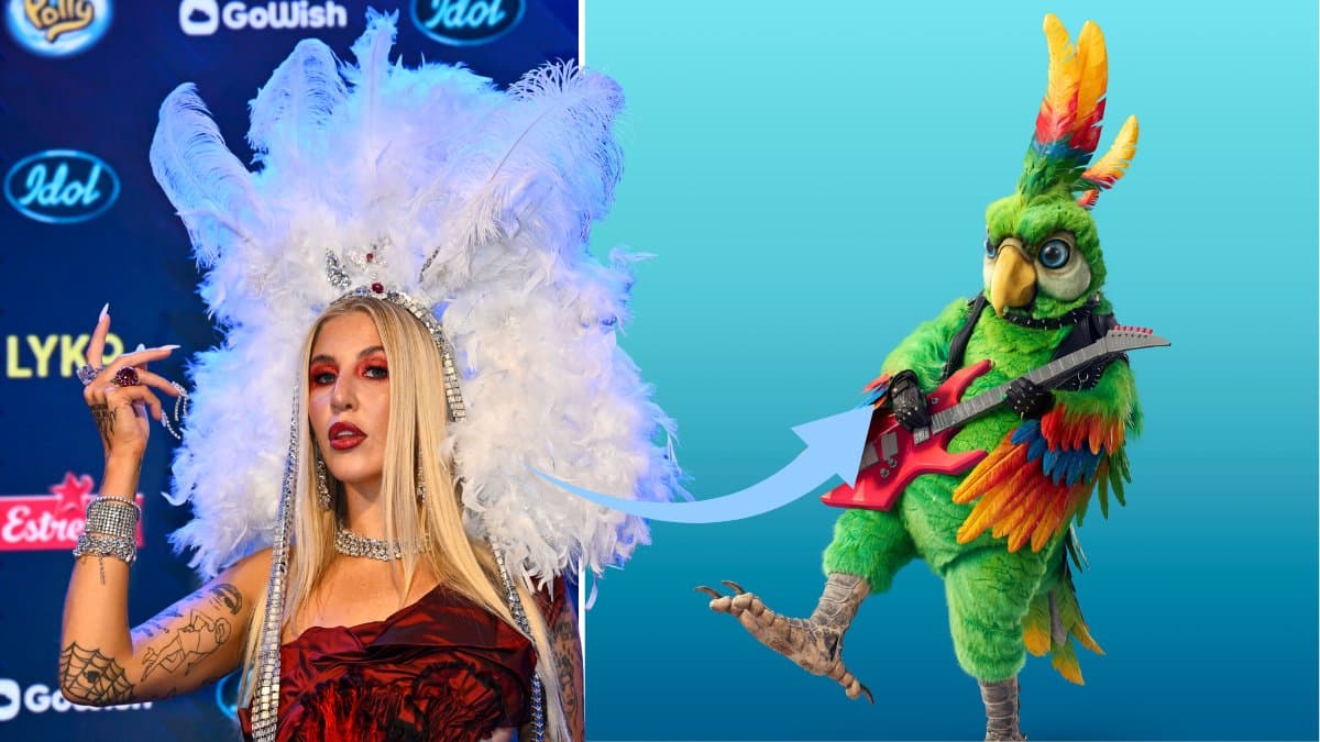 papegoja-masked-singer